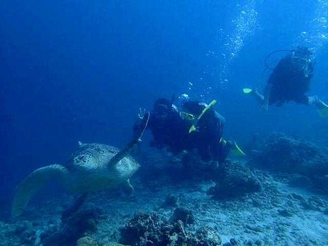 三人结伙流窜盗窃55部手机 德城公安6小时跨省抓获